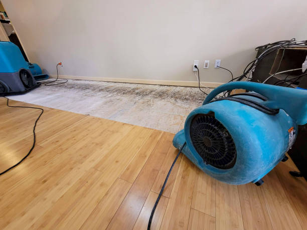 Professional Structural Drying technician working in Manchester, NH